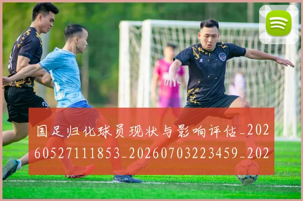 国足归化球员现状与影响评估_20260527111853_20260703223459_20260719163148